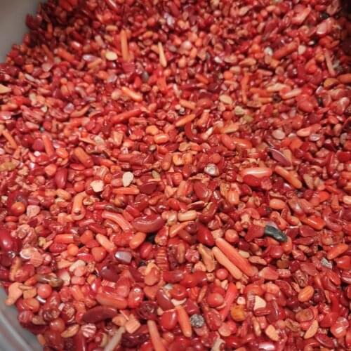 100g Red Coral Rubble for Cabbing / Cutting / Lapidary / Tumbling / Polishing