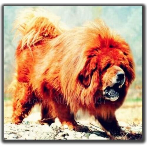 Diamond Mosaic 5D Diy Diamond Embroidery Vicious Shepherd Full Diamond Painting Cross Stitch Rhinestone Home Decoration Stickers