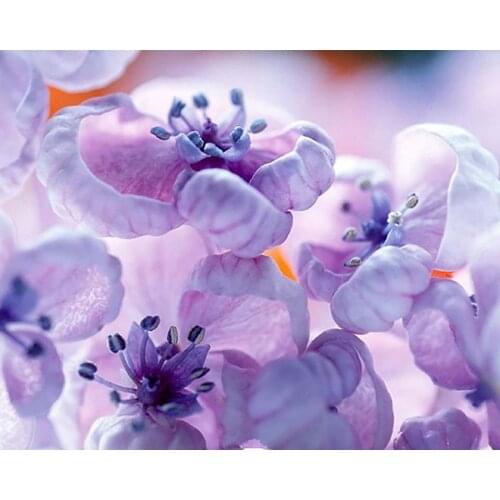 New 5D DIY Mosaic Diamond Embroidery Sale Plant Flowers Wall Sticker Full Round/Square Drill Bedroom Decor Factory Direct TY598