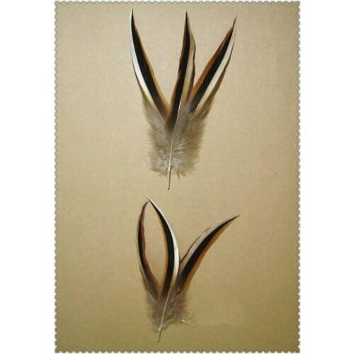 Plume decoration!50PCS/LOT 10-13CM Nature Three Colour Mallard Duck Tip Feathers, Drake Feather Tips,Mallard Feathers
