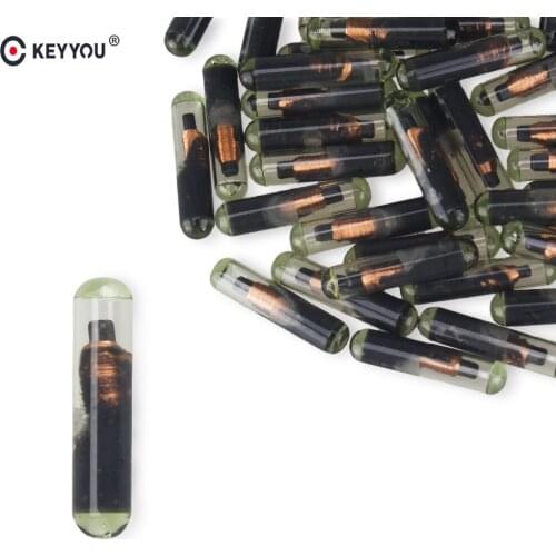 KEYYOU 10pcs/lot Key Transpnder Chip 4D48 ID48 T6 For VW Skoda Seat For Audi For Honda Copy ID48 Remote Car Key Chip 48 Grass