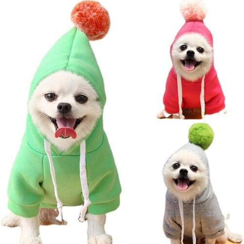 Кофты для собак Roongpet China At AliExpress