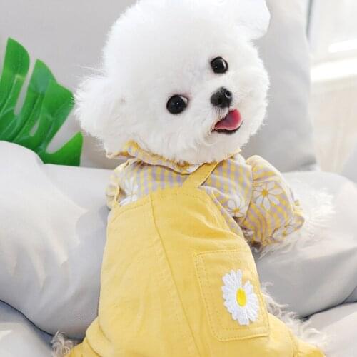Summer thin pet dog clothes four-legged Teddy Bomi Poodle Bichon York schneider dog clothes pet supplies