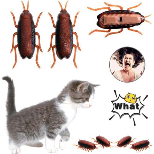 Funny Electronic Pet Interactive Play Toy For Cats Eletric Running Cockroach Pet Dog Cat Interactive Toy Pet Accessories