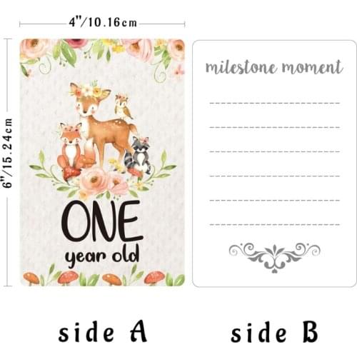 12 Sheet Baby Monthly Milestone Cards Birth to 12 Months Photo Prop Moment Cards 425F