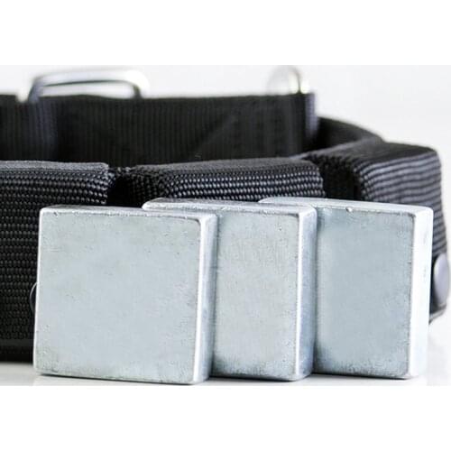 Anytime Electric Collars For Dogs