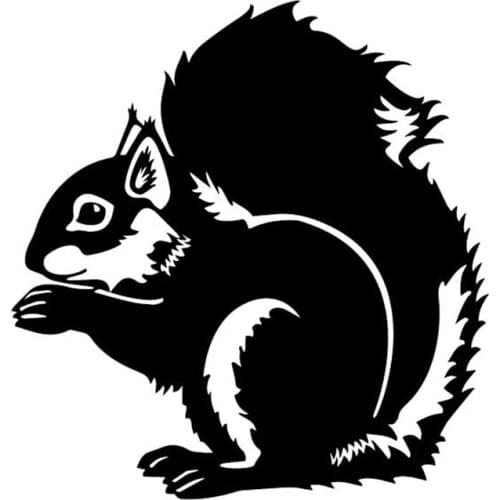 Squirrel Cute Car Decals Fashion Door Decoration Personalized PVC Waterproof Sunscreen Car Stickers Apply To Car Window Laptop