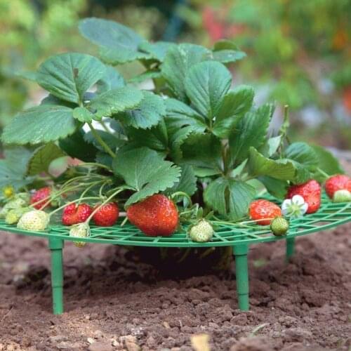 5/10/20 PCS Strawberry Shelf Balcony Garden Planter Fruit Flower Support Climbing Post Household Gardening Tools
