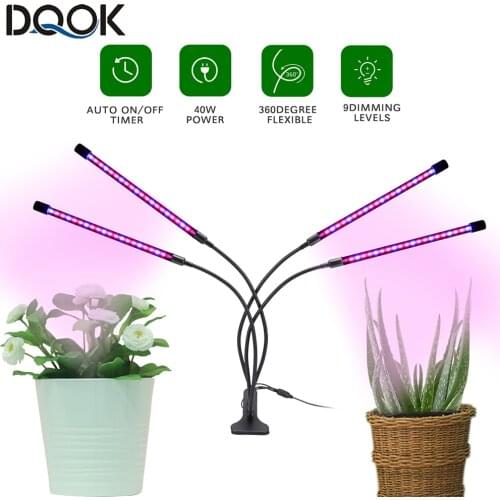 DQOK LED Lightening