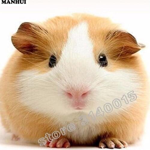 5D DIY diamond Painting Lovely Hamster 3D Cross Stitch diamond embroidery animal embroidery diamonds wall home decor BFC191