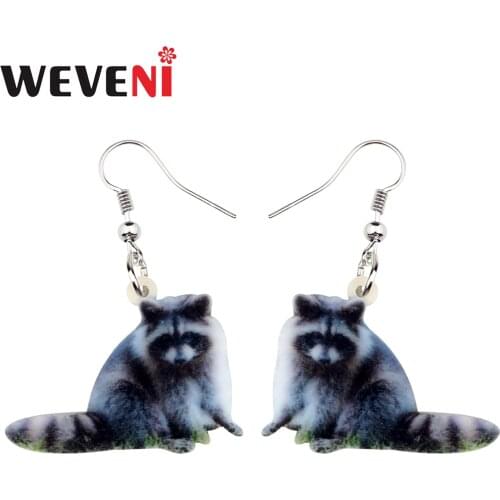 WEVENI Statement Acrylic Grey Raccoon Ringtail Earrings Drop Dangle Cute Animal Jewelry For Women Girls Teens Gift Charms Bijoux