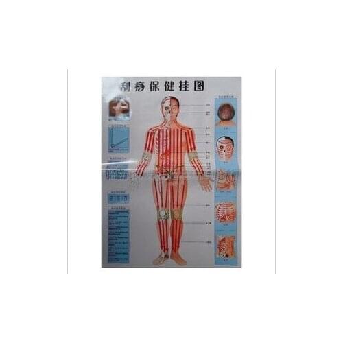 3 pcs Human Meridian Scraping wall chart guasha wall map acupuncture massage wall-chart