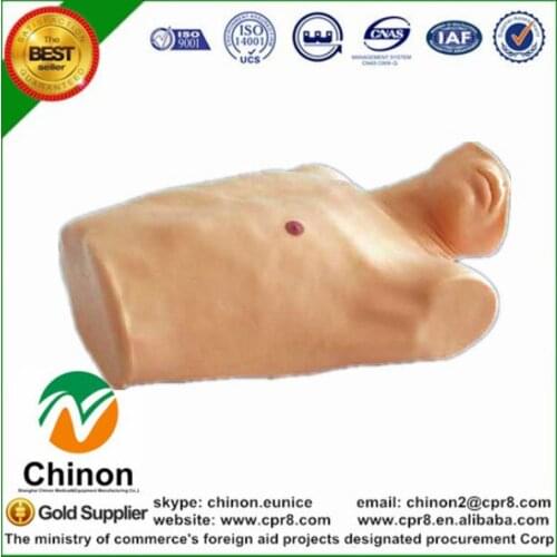 BIX-CK817 Pericardial Puncture Intracardiac Lnjection Training Manikin MQ157