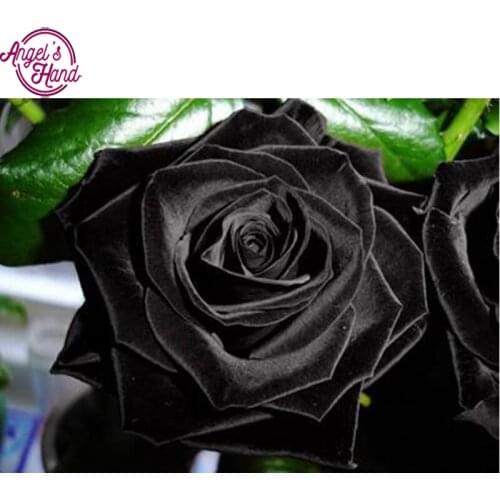 5D DIY diamond embroidery Black Rose diamond painting Cross Stitch full drill Rhinestone mosaic home decoration gift