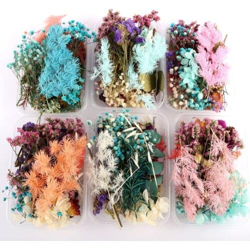 Colorful Real Dried Flower Plant Set For Aromatherapy Candle Epoxy Resin Pendant Necklace Jewelry Making Craft DIY Accessories