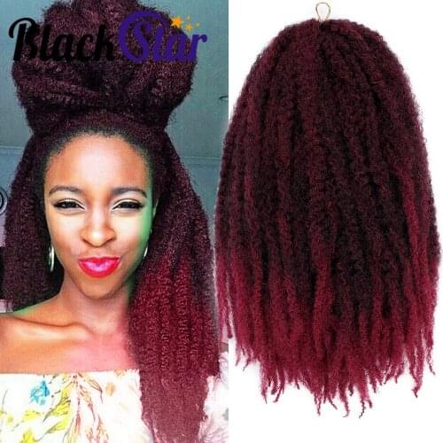 18" Marley Braids Twist Hair Afro Kinky Curly Crochet Braiding Hair Synthetic Marley Braids Hair Extensions for Women Outdoors