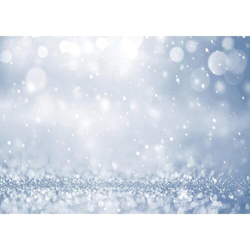 Silver Glitter Sand Flare Bokeh Photo Backgrounds Custom Backdrops Photography Props for Children Shimmer and Shine Photoshoot