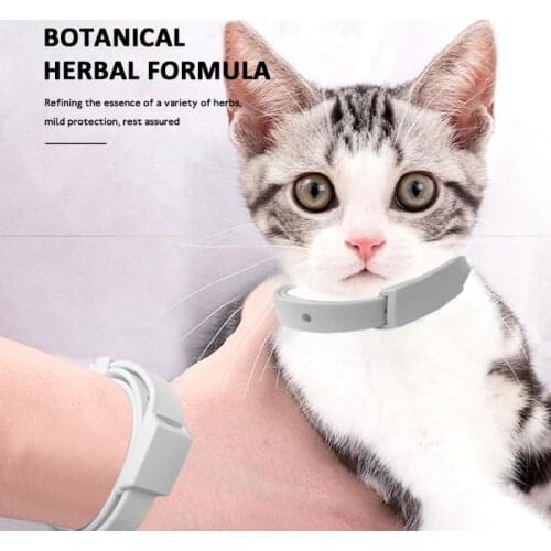 Cat Collar 8 Month Flea & Tick Prevention Collar For Cats Dog Mosquitoes Repellent Collar dog Cat Collar Cat Accessories