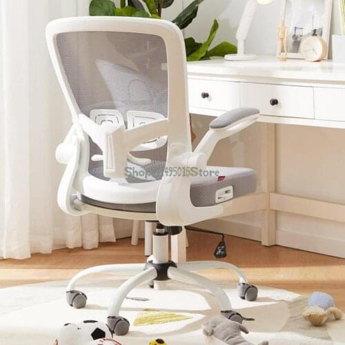 Student Chair, Study Chair, Writing Desk, Childrens Computer Chair, Backrest Office Chair