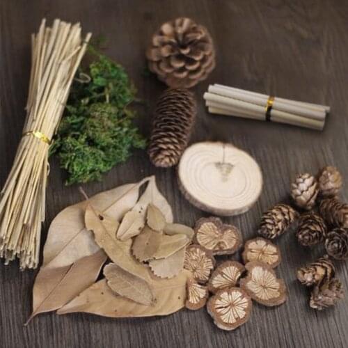 10pcs/set Pastoral Style Wood Pinecone Wicker Green Moss Natural Dry Plant Photography Props For Home Decoration DIY Tool