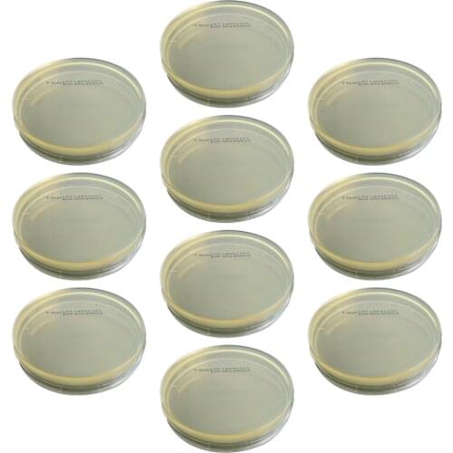 10pcs Disposable Biological Vacuum Packaging R2A Agar Plates Petri Dishes Determine Equipment for Science Experiment