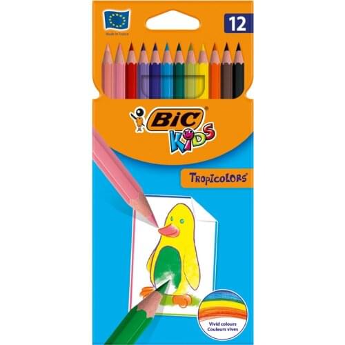  BIC China