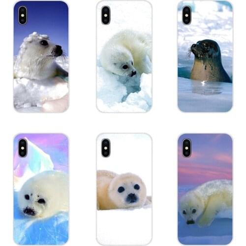 Baby Seal Arctic Snow For Samsung A10 A30 A40 A50 A60 A70 Galaxy S2 Note 2 3 Grand Core Prime Accessories Phone Cases Covers