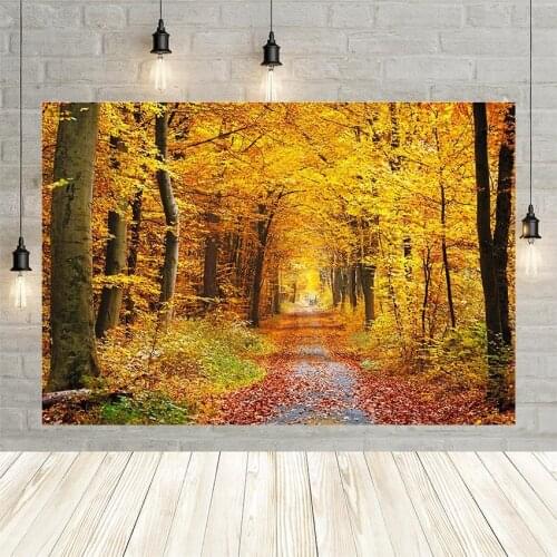 Avezano Photography Background Autumn Fallen Leaves Banner Golden Pink Backdrops For Photo Studio Decoration Photocall Photozone