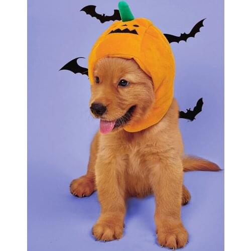 1pcs Cute Pet Hat Halloween Pumpkin Pet Cosplay Decorative Hat Party Dress Up Adjustable Headdress Pet Dog Cat Hat Pet Supplies