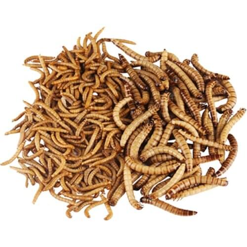 SUNSUN Aquarium Fish Food High-grade Goldfish/Turtle/Bird/Hamster Feed/Mealworms/Barley insect/Antarctic scale shrimp 140g food