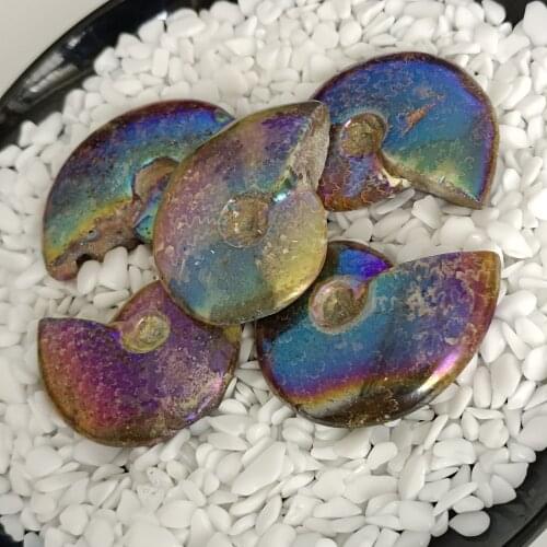 AURA Rainbow Ammonite Fossil Specimen Ammolite Ocean Animal Snail Conch Madagascar Original Specimen Mineral