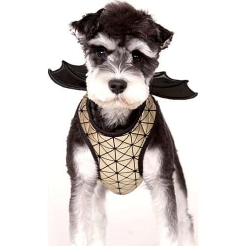 Golden Dragon Dog Harness Devil Wings Collar Pet Halloween Small Dog Costumes Clothes Cat Puppy Christmas Bat Design Cat Leash