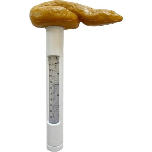 Funny Pool Thermometer Floating Poop Meter For Spa Hot Tubs Water Temperature Tester Tool Swimming Pools Accessories