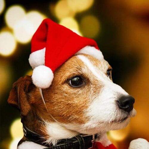 Christmas High Quality Red Pet Dog Christmas Hat Christmas Decoration Dog Hat
