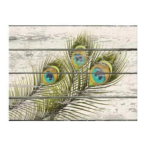 Free Shipping ( Feather) canvas prints oil painting printed on canvas wall art decoration picture Home Decor Artwork XJDP-18