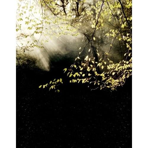Tree Photography Backdrops Photo Props Studio Background 5x7ft