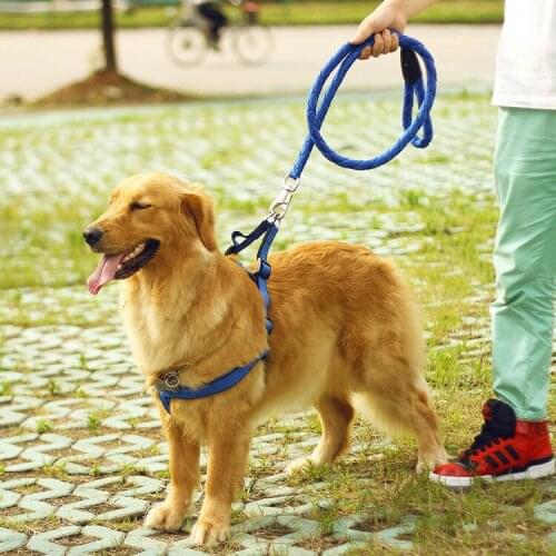 Nylon Braided Pet Dog Leash + Harness + Collar Sets Pet Dog Training Safety Leashes Traction Rope Solid Breakaway All Seasons