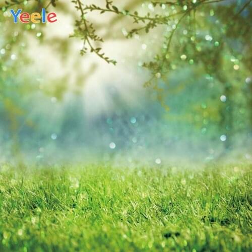 Spring Green Screen Forest Tree Park Light Bokeh Backdrop Newborn Baby Portrait Photography Background Vinyl For Photo Studio