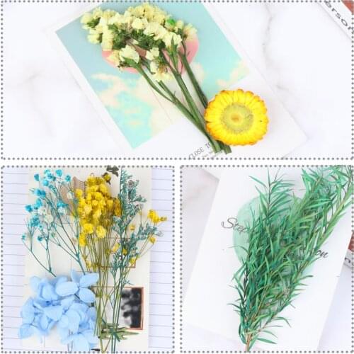 Natural Dried Flowers Leaves,Real Dried Pressed Flowers Mixed Multiple Color