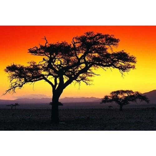 Wholesale canvas printed painting , trees in a Sunset scenery of Africa from a Picturesque photo , home decor art free shipping