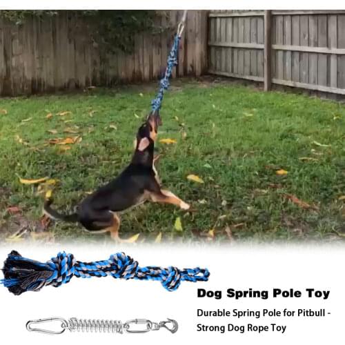 Outdoor Hanging Bungee Dog Toys Exercise Rope Pull Tug Muscle Builder Dogs toy Sportswear Accessories Toys Durable Pet Products