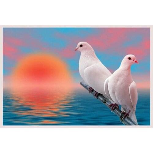5d diamond painting pigeon picture full round mosaic diamond cross stitch new arrival animal icon wall sticker decoration E372
