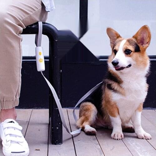 Dog Leash All Size Dog Be Applicable Dog Collar Accessories Dog Harness Multi-scene Application Small Dog Harness Dog Supplies