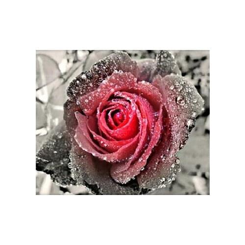 A12771 11CT/14CT/18CT/25CT/28CT Oil tea patterns Counted Cross Stitch DIY Cross Stitch Kits Embroidery Needlework Sets