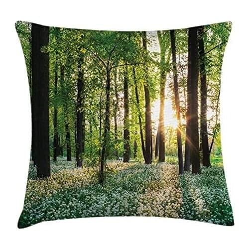 Pooizsdzzz Fore Throw Pillow Cushion Cover, Sunny Fore with Garlic Enchanting Wildflowers Blossoms ndscape Scenery, Decorative