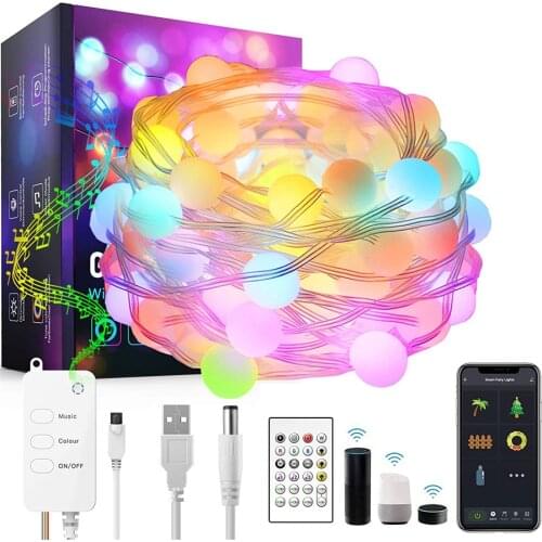 5M 10M 20M Smart Bluetooth App Globe Fairy Lights Music Sync USB WiFi String Fairy Lights Work with Alexa & Google With Remote