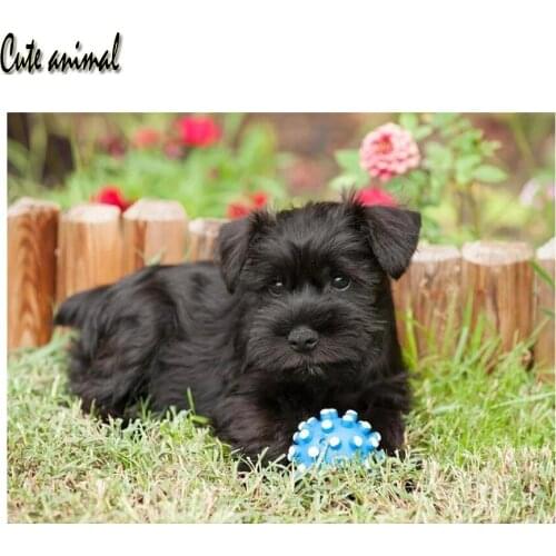 Cute animal Diy diamond painting schnauzer dog diamond embroidery pet photos custom 5d diamond cross stitch needlework