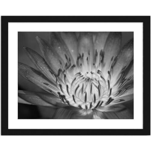 Lotus Flowers black and white scenery diamond embroidery full square rhinestone mosaic diamond painting cross stitch kits art