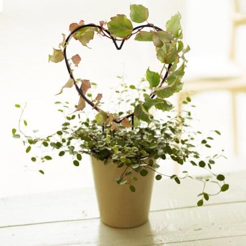 Plant Stand Stem Support Trellis Rustproof Heart Shaped Iron Ring Anti-rust For Both Indoor And Outdoor To Use Stalks Vine Rack
