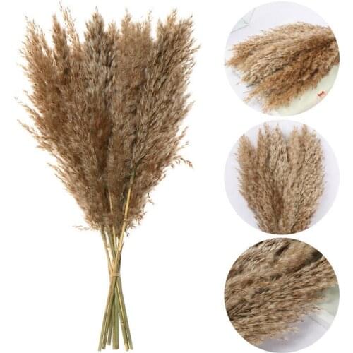10pcs Grass Dried Flower Wedding Bouquet Small Natural Pampas Reed Bunch Christmas Home Wedding Household Decoration Phragmites